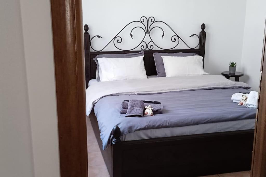Elea Home Apartments Alexandroupoli Bagian luar foto