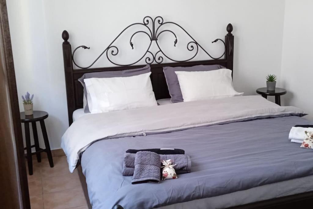 Elea Home Apartments Alexandroupoli Bagian luar foto
